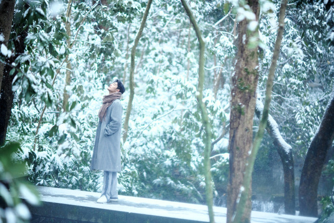 Обои картинки фото мужчины, xiao zhan, актер, пальто, шарф, лес, снег