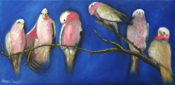 Картинка рисованные животные птицы попугаи бабочки девушка какаду galahs
