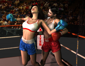 Картинка 3д графика people люди девушки ринг бокс