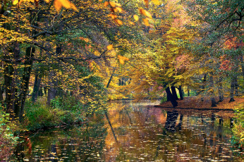 обоя природа, реки, озера, вода, осень, листья