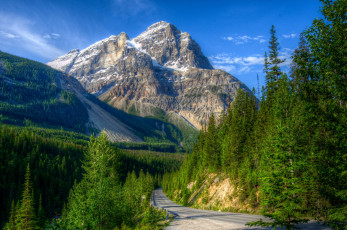 Картинка природа дороги канада