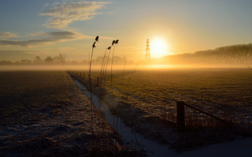Картинка природа восходы закаты поле ров туман рассвет