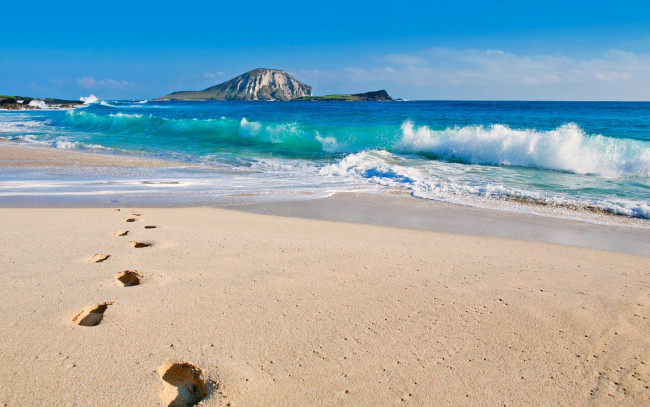 Обои картинки фото makapuu, beach, oahu, hawaii, природа, побережье, следы, скала, песок, пляж, океан