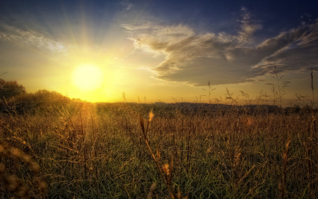 Обои картинки фото природа, восходы, закаты, поле, трава, облака, солнце