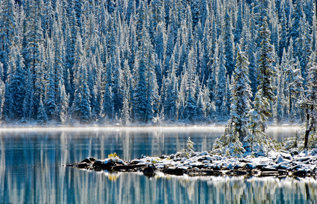 Обои картинки фото природа, зима, снег, канада