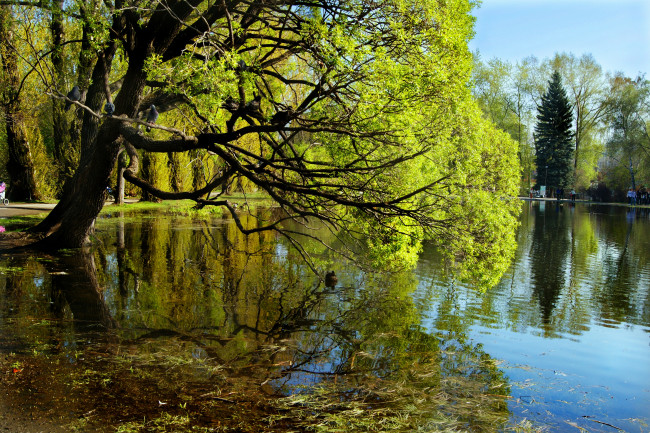 Обои картинки фото природа, парк, екатеринбург