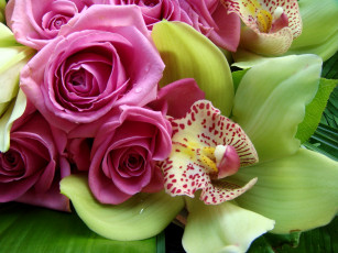 Картинка цветы разные+вместе орхидея розы