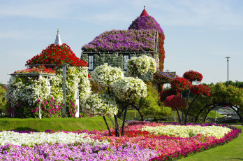 Картинка природа парк цветы