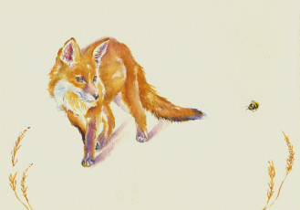 обоя рисованное, животные,  лисы, мордашка, лиса, акварель, пчёлка