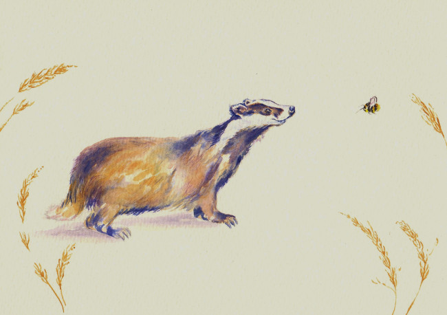 Обои картинки фото рисованное, животные, акварель, мордашка, пчёлка, барсук