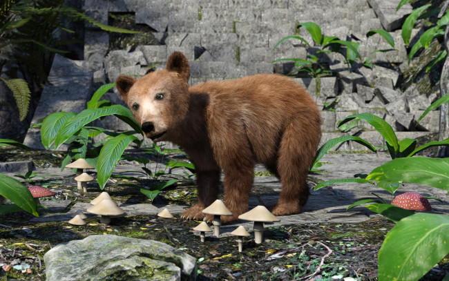 Обои картинки фото 3д графика, животные , animals, медвежонок