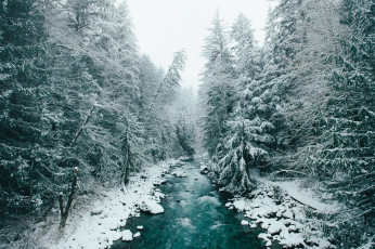 Картинка природа реки озера деревья снег лес зима река