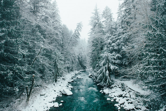 Обои картинки фото природа, реки, озера, деревья, снег, лес, зима, река