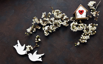 Картинка праздничные день+святого+валентина +сердечки +любовь голубки гнездо