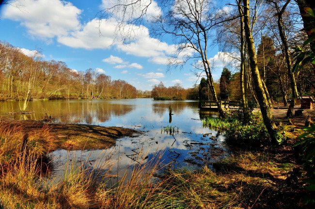 Обои картинки фото west, yorkshire, природа, реки, озера, деревья, река