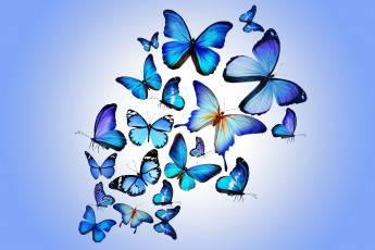 обоя рисованные, животные,  бабочки, бабочки, blue, colorful, marika, design, butterflies