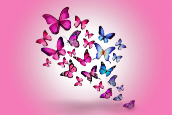 Картинка рисованные животные +бабочки colorful marika design butterflies бабочки blue pink