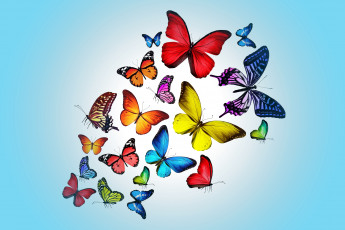 Картинка рисованные животные +бабочки pink бабочки blue colorful marika design butterflies