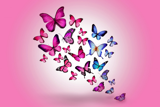 Обои картинки фото рисованные, животные,  бабочки, colorful, marika, design, butterflies, бабочки, blue, pink