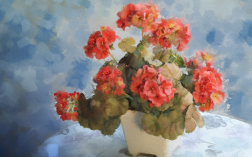 Картинка рисованное цветы цветок герань вазон
