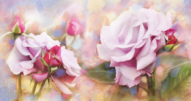 Обои картинки фото рисованное, цветы, розы, бутоны