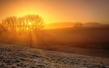 Картинка природа восходы закаты солнце поля деревья туман рассвет иней утро