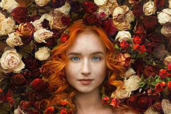 Картинка девушки -unsort+ лица +портреты девушка цветы взгляд рыжая веснушки ивга фотограф рыжеволосая голубые глаза настасья лицо розы волосы локоны настроение
