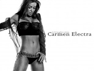 Картинка Carmen+Electra девушки   черно-белая белье сетка