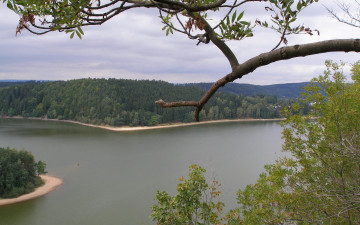 Картинка природа реки озера река остров деревья