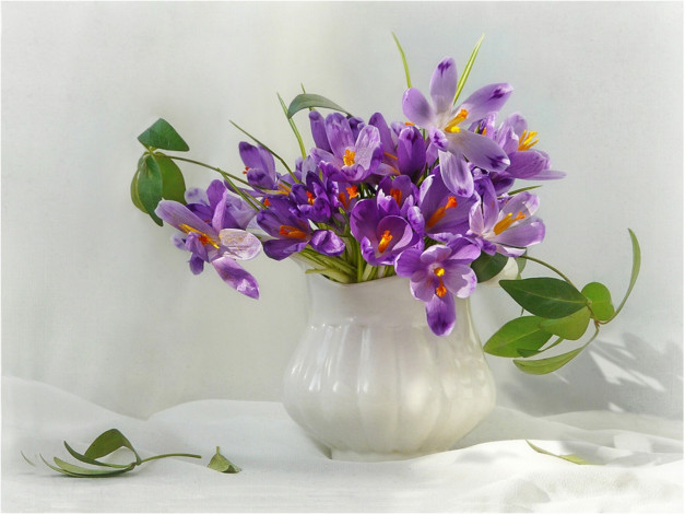 Обои картинки фото цветы, крокусы, ваза