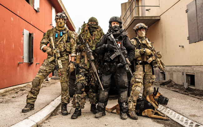 Обои картинки фото оружие, армия, спецназ, собака, norwegian, special, forces