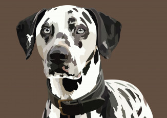 Картинка векторная+графика животные+ animals фон взгляд собака