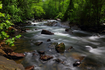 Картинка природа реки озера лес деревья вода река поток