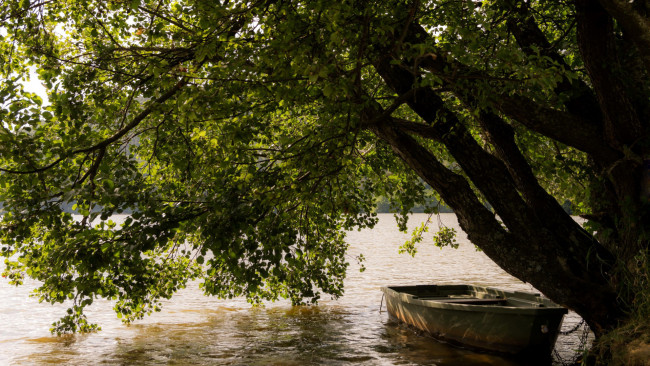 Обои картинки фото корабли, лодки,  шлюпки, река, лодка, дерево
