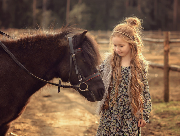 Обои картинки фото разное, дети, девочка, лошадь