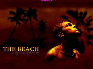 обоя пляж, кино, фильмы, the, beach