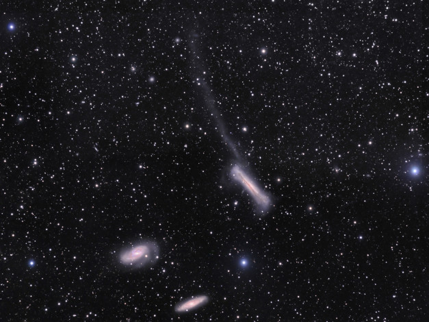 Обои картинки фото ngc3628, космос, галактики, туманности