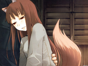 Картинка аниме spice and wolf