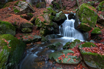 Картинка природа водопады листья камни вода мох