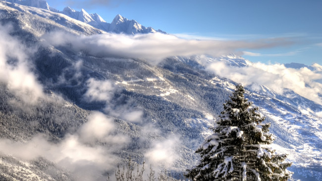 Обои картинки фото природа, горы, снег, облака, ель