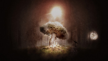 Картинка summer solstice 3д графика nature landscape природа дерево полумрак свет