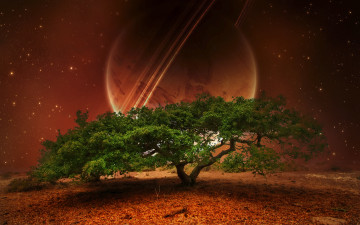Картинка oak tree разное компьютерный дизайн дерево красный фон планета