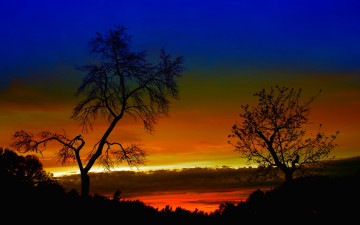 Картинка sunset view природа восходы закаты деревья красота закат