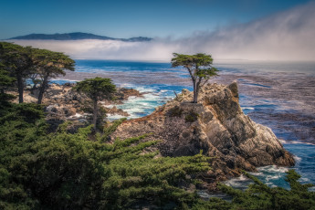 Картинка pebble beach california природа побережье the lone cypress carmel bay пеббл бич калифорния одинокий кипарис скала