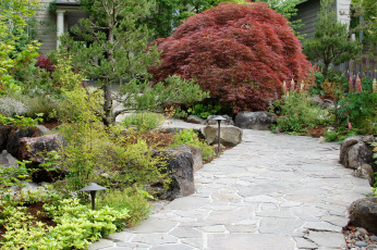 Картинка portland japanese garden природа парк дорожка кусты растения