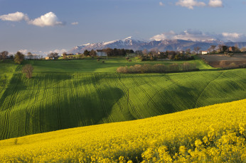 Картинка природа поля пейзаж деревня горы италия рапс