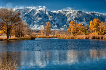 Картинка природа реки озера озеро горы деревья осень камыш
