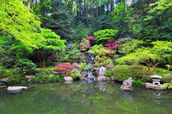 Картинка portland japanese garden природа парк водоем водопад цветы камешки растения