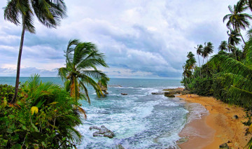 Картинка природа тропики океан пляж волны ветер пальмы горизонт