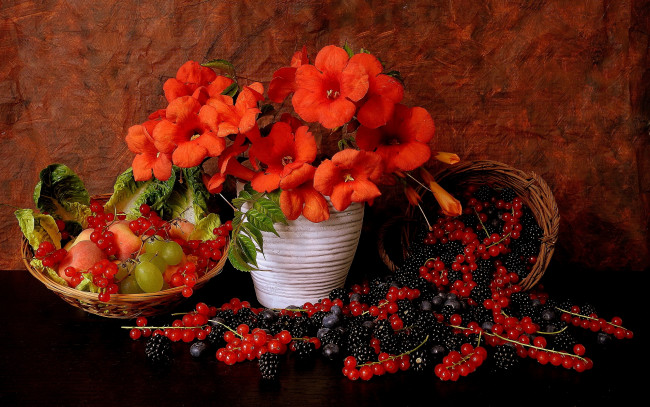 Обои картинки фото еда, фрукты, ягоды, красная, смородина, натюрморт, ежевика, виноград, цветы